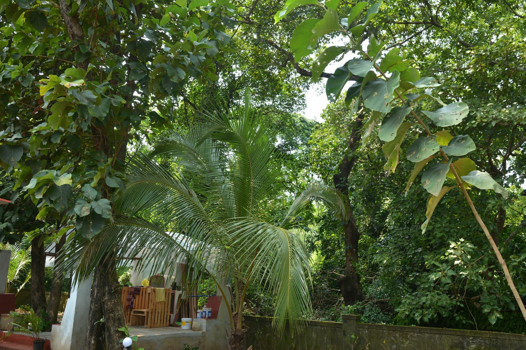 Folklore Hostel Goa Vagator Exterior foto